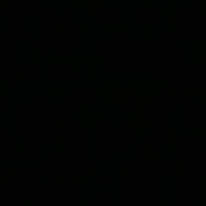 Meet your Posher, Freddy